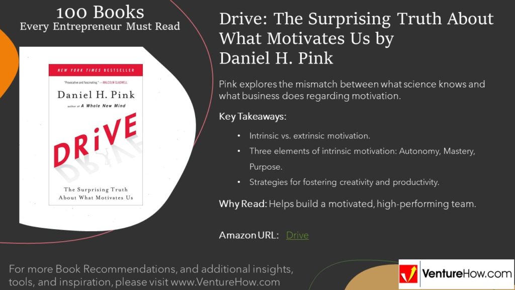 Drive: The Surprising Truth About What Motivates Us by Daniel H. Pink