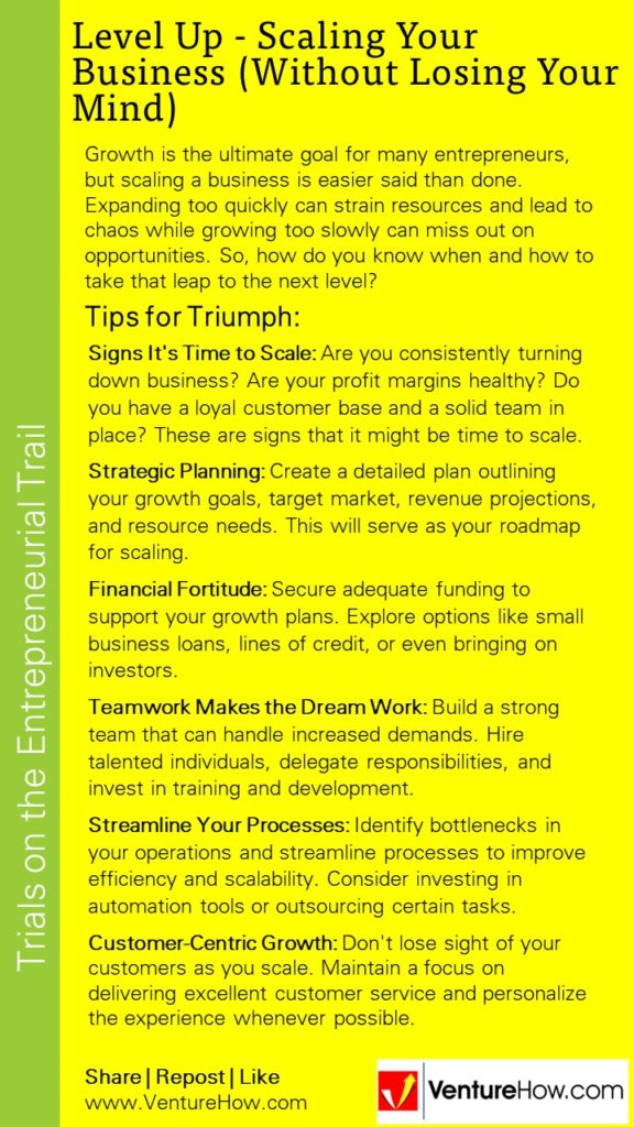 Level Up - Scaling Your Business (Without Losing Your Mind)