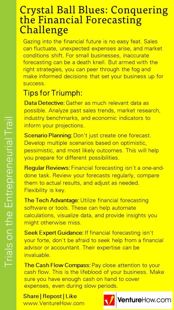 Crystal Ball Blues: Conquering the Financial Forecasting Challenge