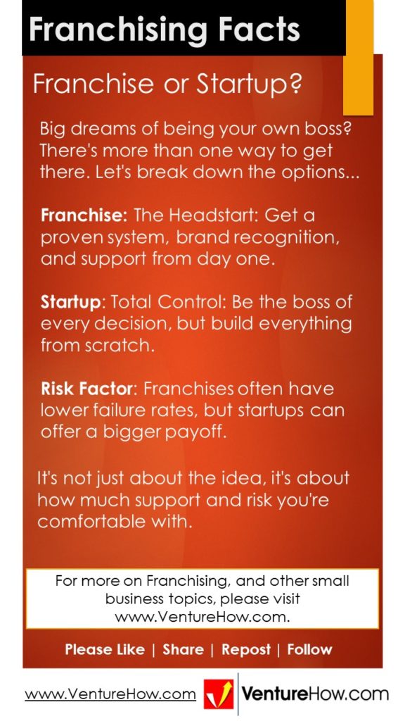 Franchise or Startup?