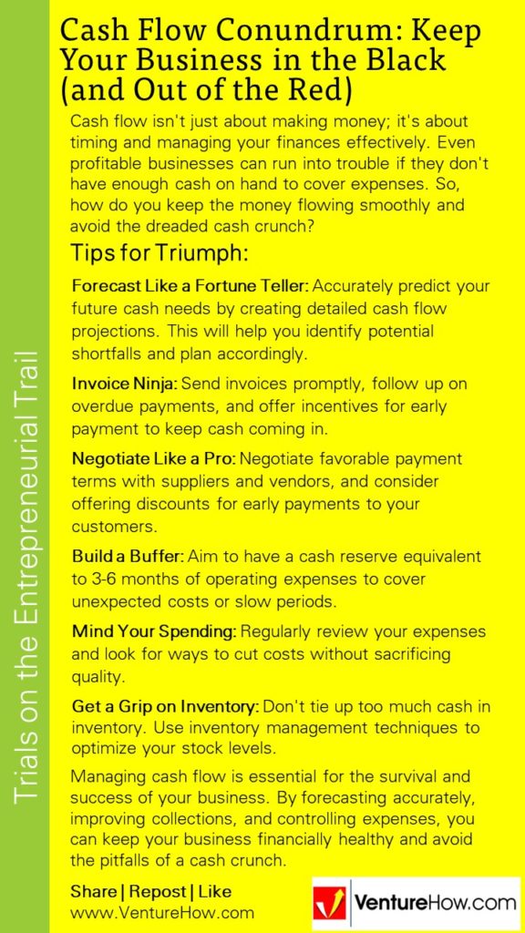 Cash Flow Conundrum: Keep Your Business in the Black (and Out of the Red)