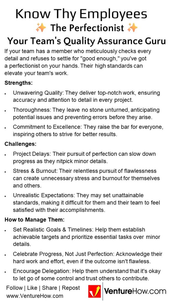 ✨ The Perfectionist: Your Team's Quality Assurance Guru ✨