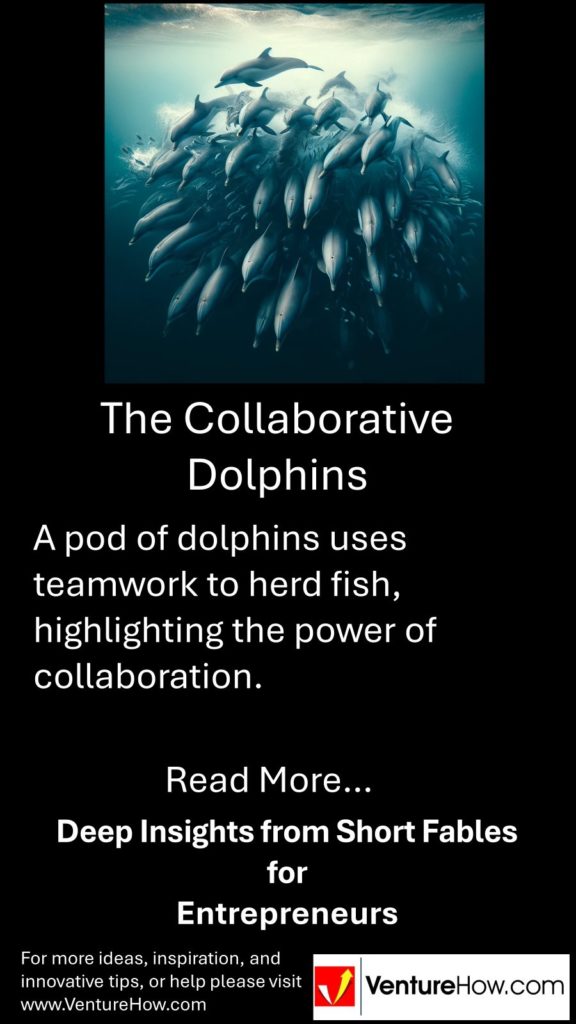 The Collaborative Dolphins
