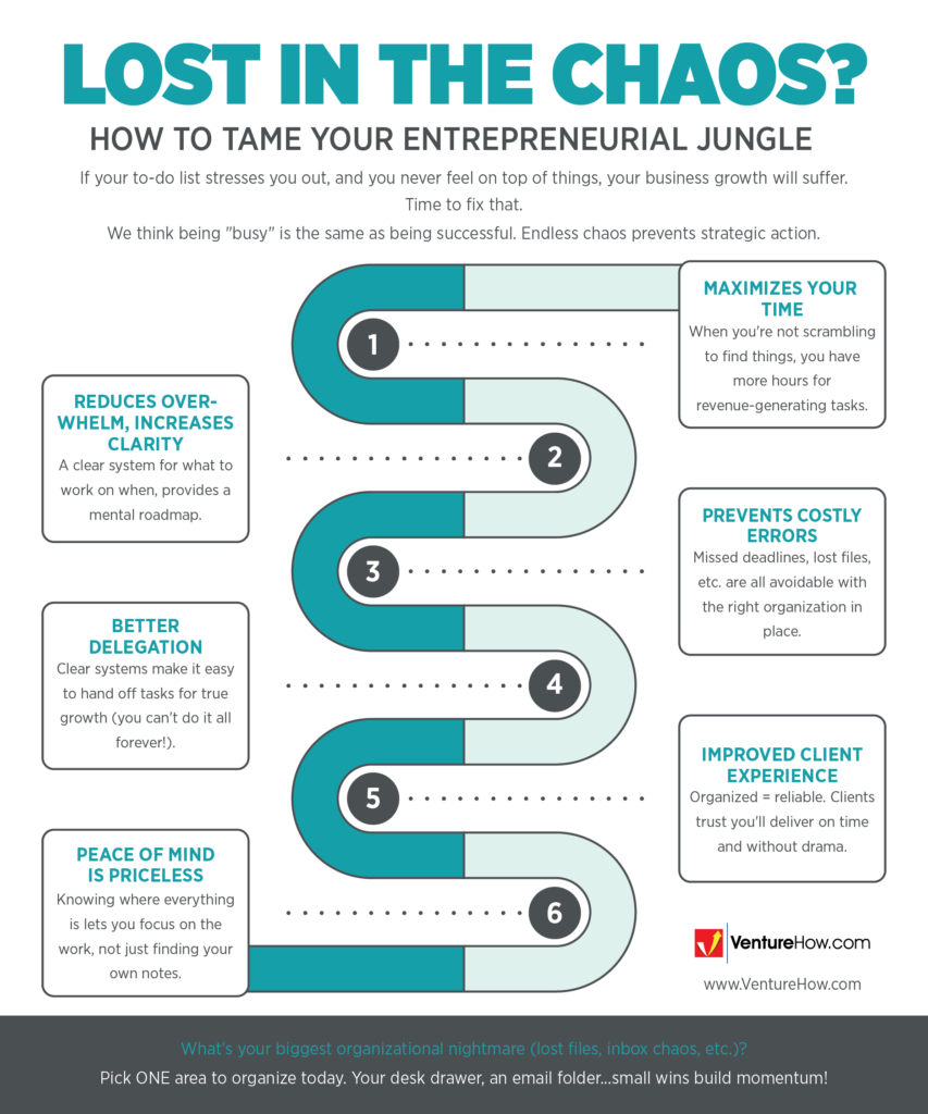 Lost in the Chaos? How to Tame Your Entrepreneurial Jungle