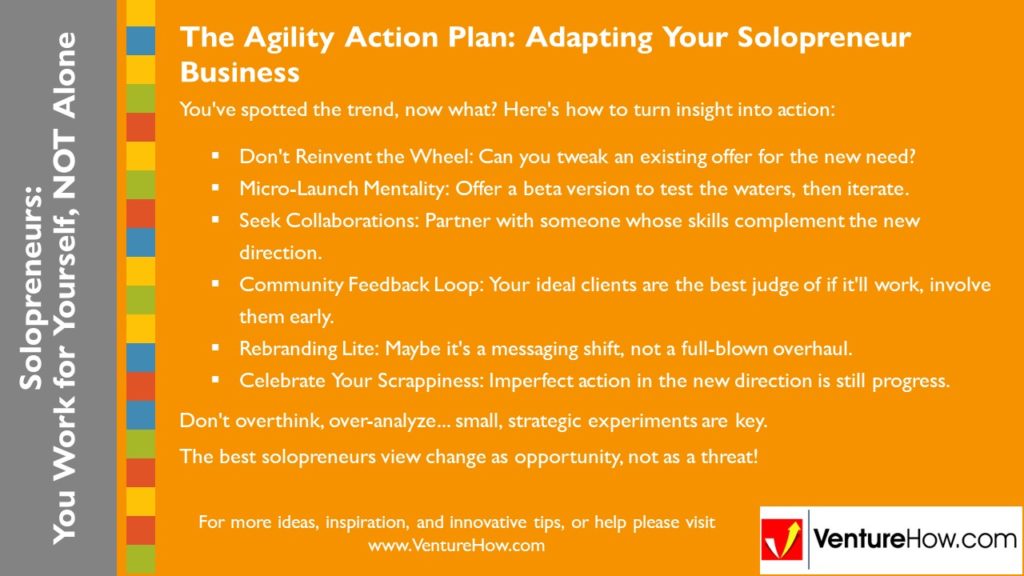 Solopreneurs: You Work For Yourself, Not Alone. The Agility Action Plan: Adapting Your Solopreneur Business